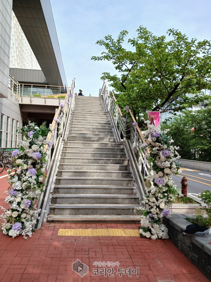 결혼식은 호텔에서만? 마포구청 야외 결혼식, 로맨스는 공공장소에서 피어난다