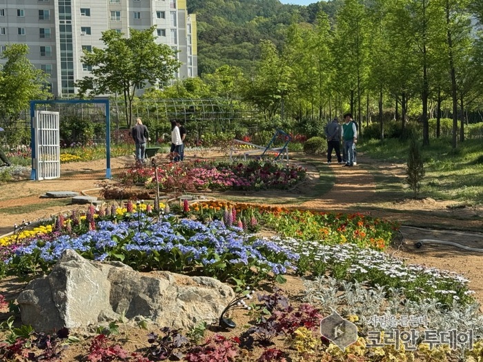 보람동 아이꽃터, 도심 속 꽃으로 피어나다