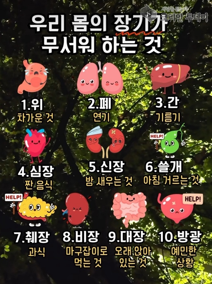 우리 몸의 장기가 싫어하는 10가지 습관, 지금 당장 고쳐야 할 것들