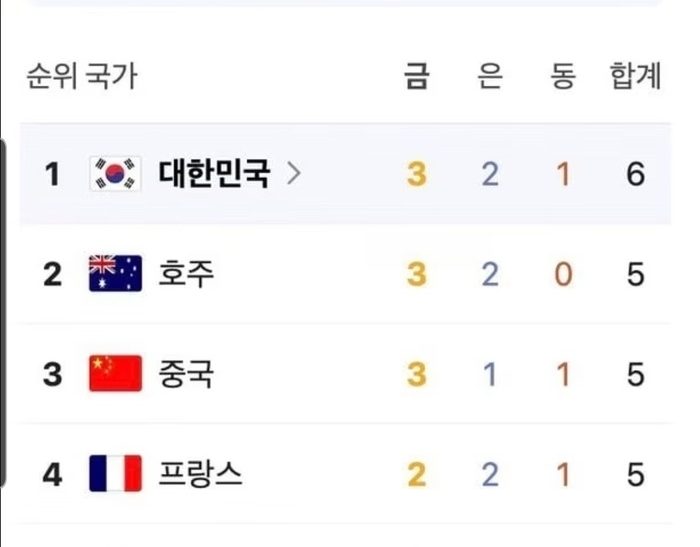 한국 파리 올림픽에서 메달 순위 1위 기록