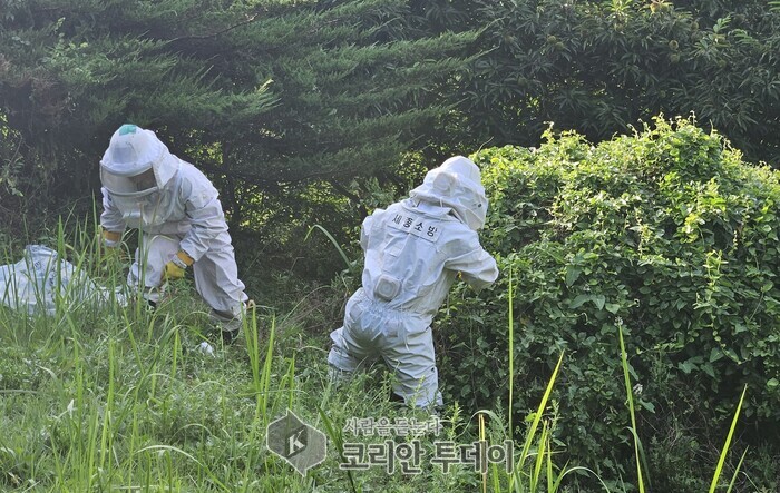 세종소방본부, 추석 맞아 벌 쏘임 사고 예방 당부