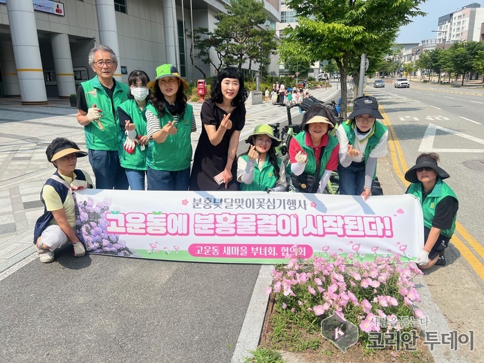 분홍꽃 만개한 고운동, 마을에 감성을 피우다