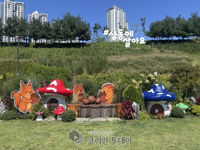 성동구, ‘중랑천 피크닉장’ 가을 정원으로 재단장… 도심 속 동화 같은 휴식 공간
