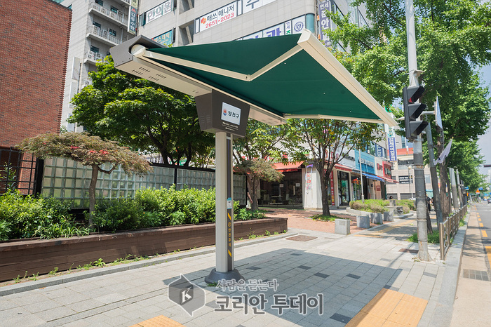 양천구, 폭염 대비 총력전…재난도우미 1,053명 취약계층 밀착관리