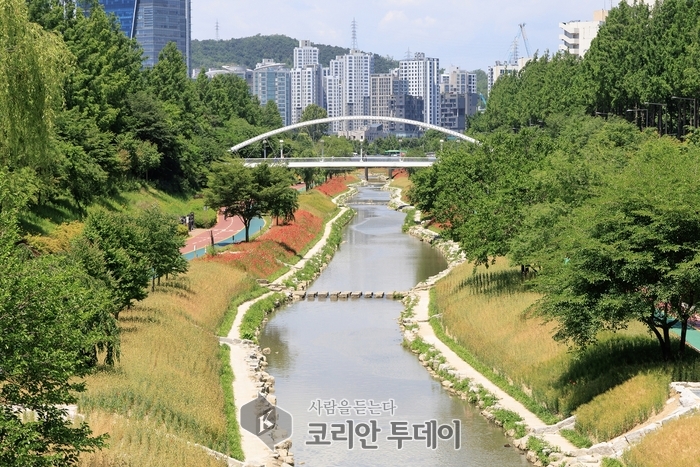 “초록이 금빛으로 물든 날” 도심 속 이색 풍경, 마포구 황금보리 축제 열린다