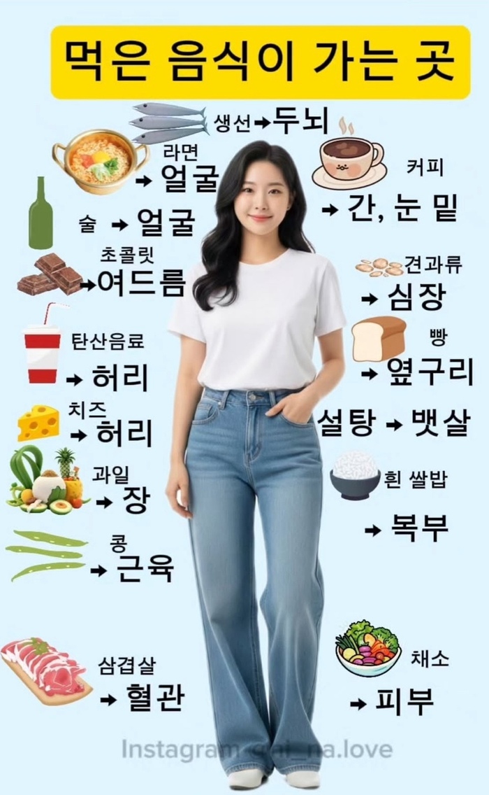 먹은 음식이 가는 곳으로 알아보는 놀라운 신체 변화