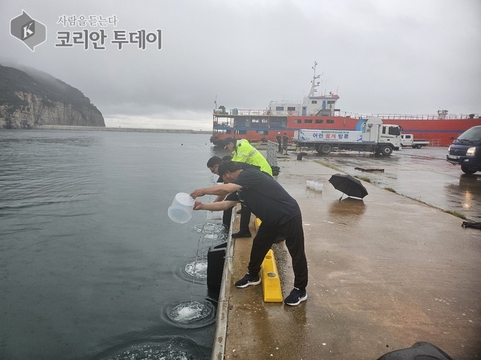 백령도 해역에 어린 꽃게 60만 마리 방류