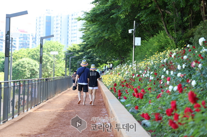 구로구, 황톳길 유지 관리 총력…이용자 안전 강화