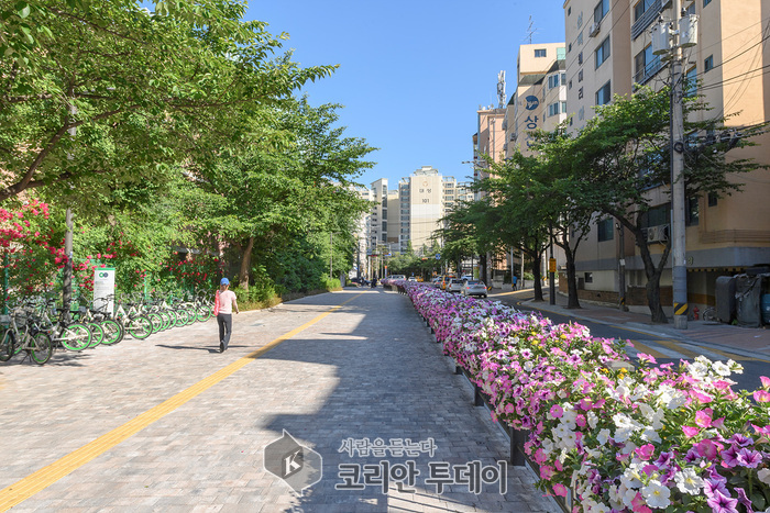 양천구, 20년 지난 “신월동 걷고 싶은 거리” 보행자 중심 명품거리로 새단장