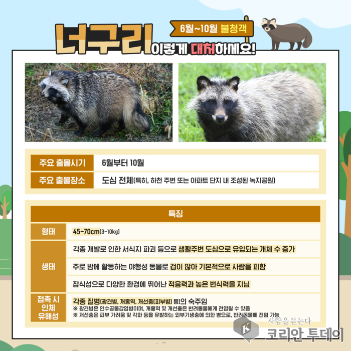 도심 야생동물발 광견병 차단 총력: 부평구, 굴포천 일대 광견병 백신 미끼예방약 대량 살포