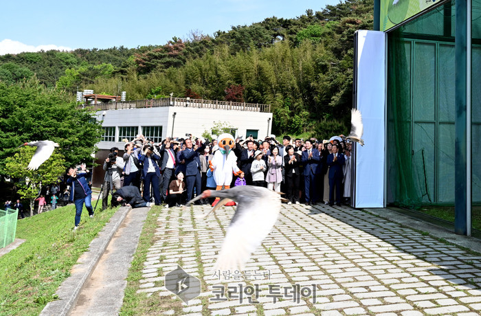 제10회 우포따오기 야생방사 행사 개최