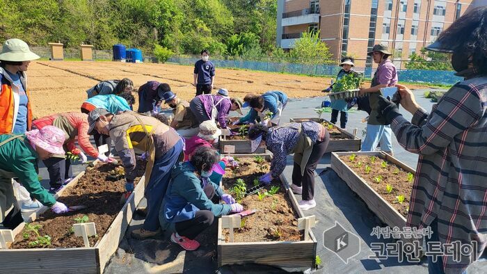 나만의 텃밭에서 마음도 자란다