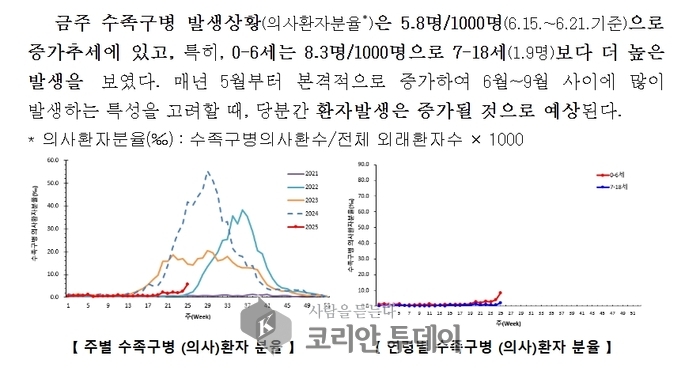 “작은 물집, 큰 경고”…수족구병, 여름철 영유아 건강을 위협하다
