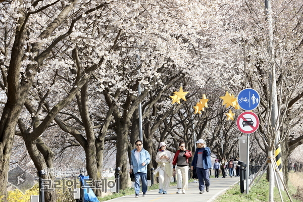 벚꽃 보러 갑시다, 서울의 벚꽃명소