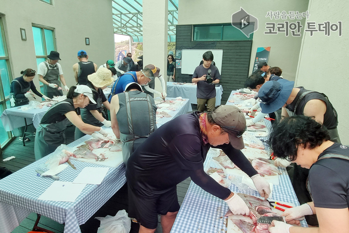 외국인 유튜버, 대청도에서 홍어회뜨기와 대후리 전통 고기잡이 체험