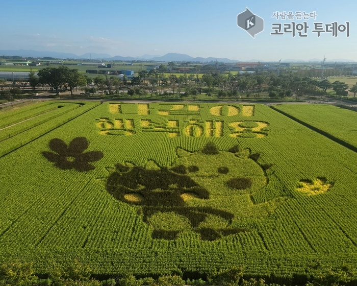 김제지평선축제, 짚라인을 타고 대지아트 위를 날다!