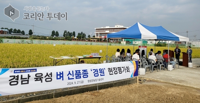 경남 육성 신품종 벼 ‘경원’, 창녕군에서 첫 현장평가회 성료