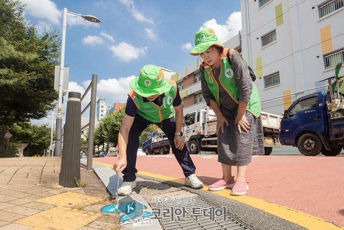 ‘지역안전 파수꾼’ 양천구 지역자율방재단, 여름철 안전 책임진다