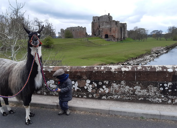 Brougham Castle