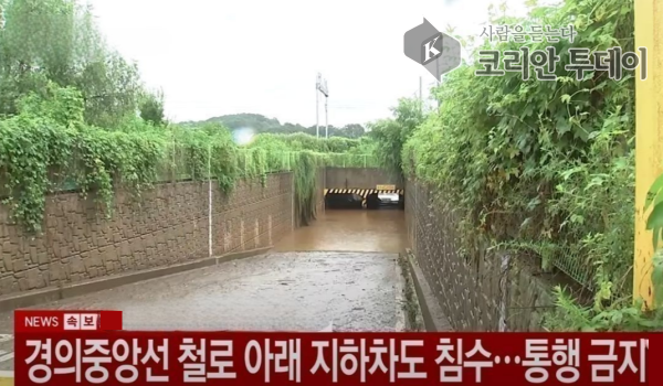 고양시 강매동 폭우 피해 심각 | 반지하 주택 침수에 차량 고립까지